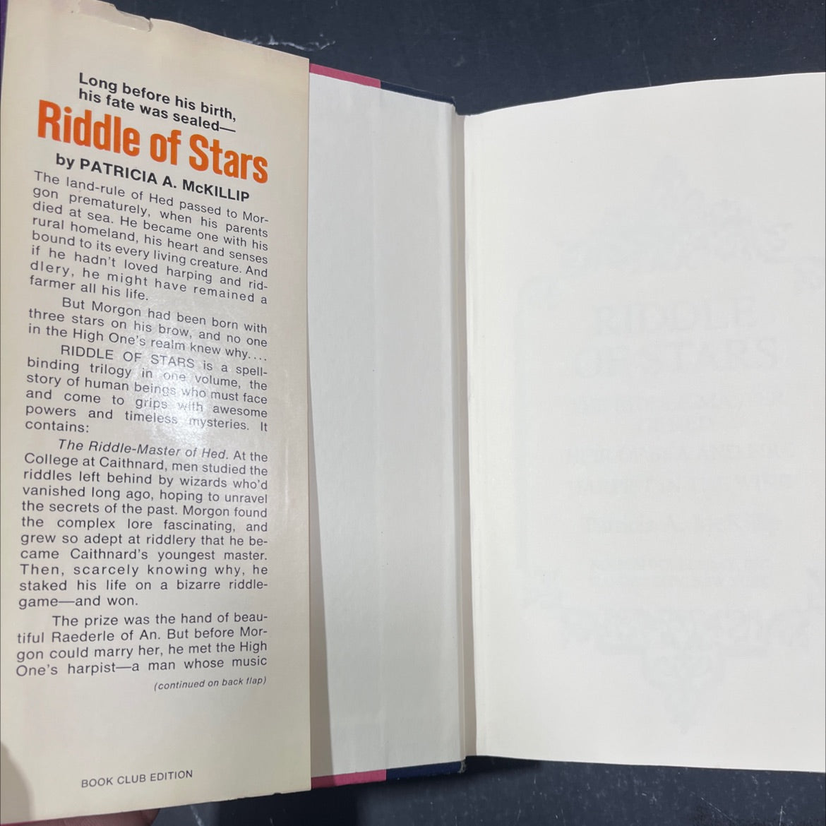 riddle of stars book, by Patricia A. McKillip, 1979 Hardcover image 4