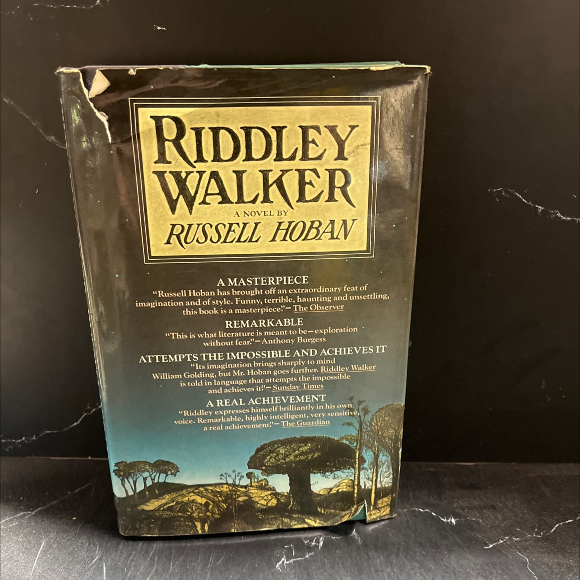 riddley walker book, by russell hoban, 1980 Hardcover image 1