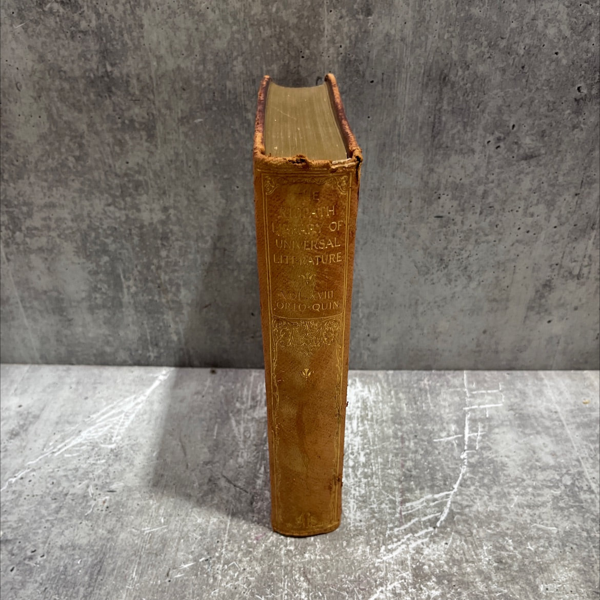 ridpath library universal literature book, by john clark ridpath, will m. clemens, 1906 Leather image 4