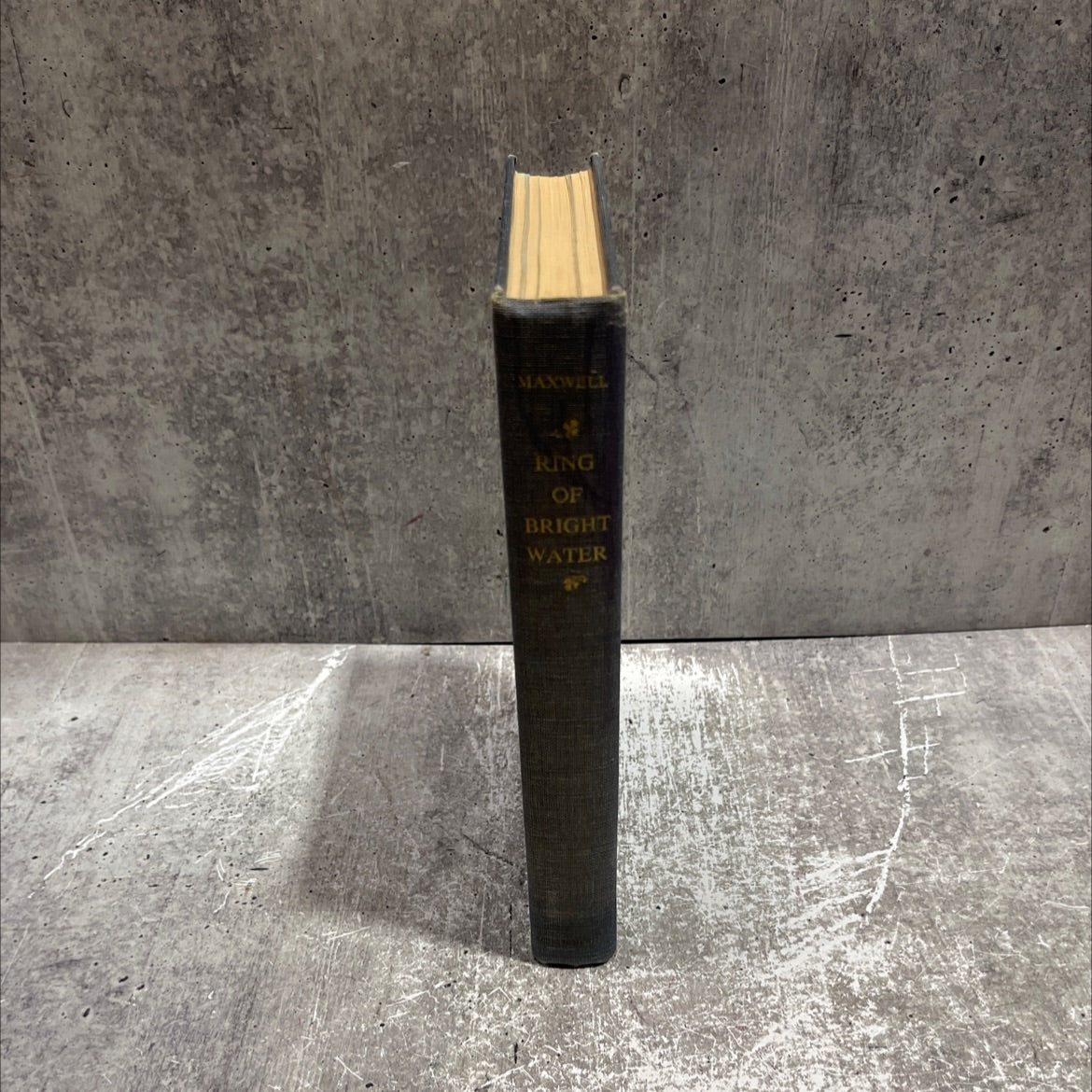 ring of bright water book, by gavin maxwell, 1961 Hardcover image 4