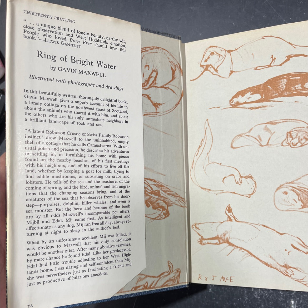 ring of bright water book, by Gavin Maxwell, 1961 Hardcover image 4