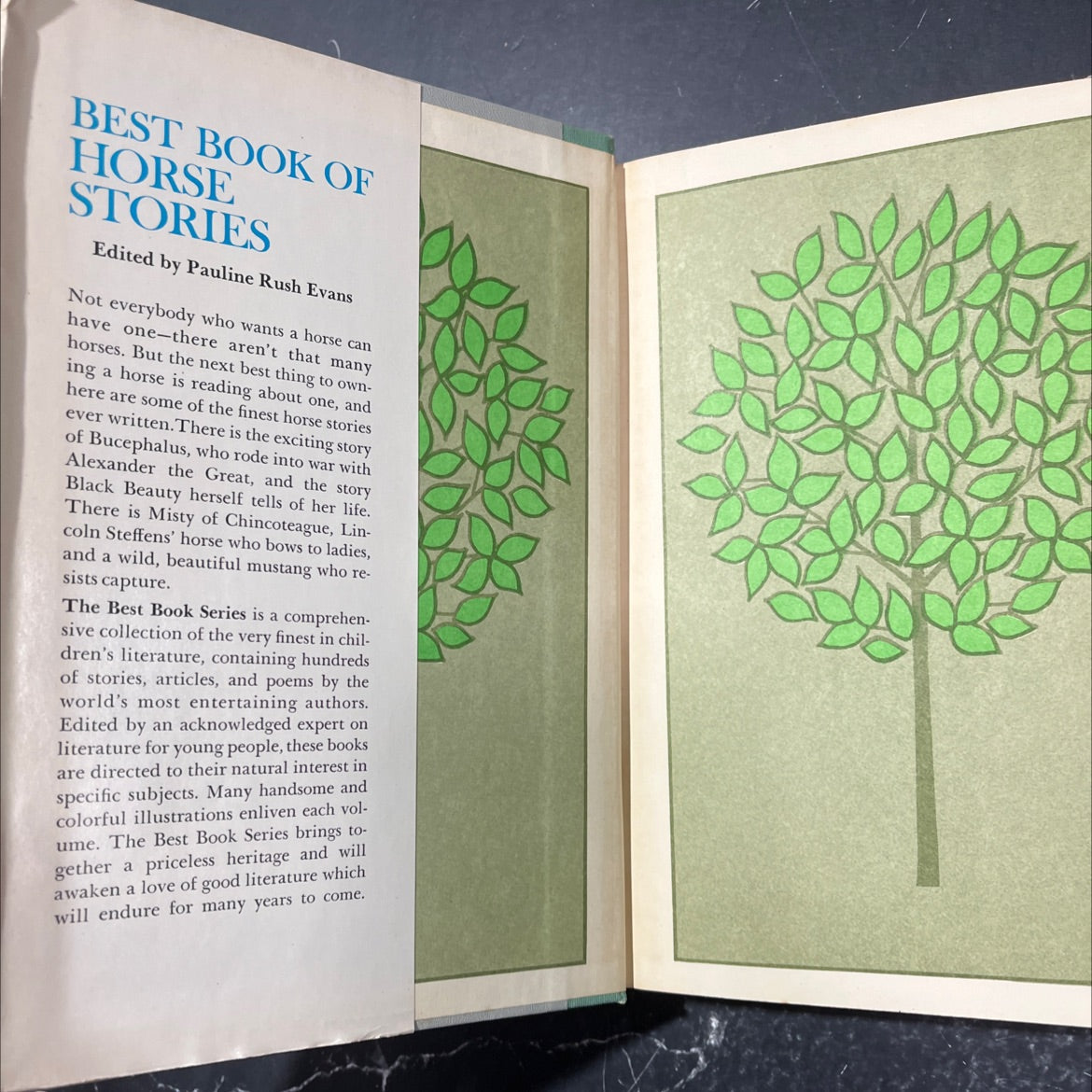royal salute best book of horse stories book, by pauline rush evans, 1964 Hardcover image 4