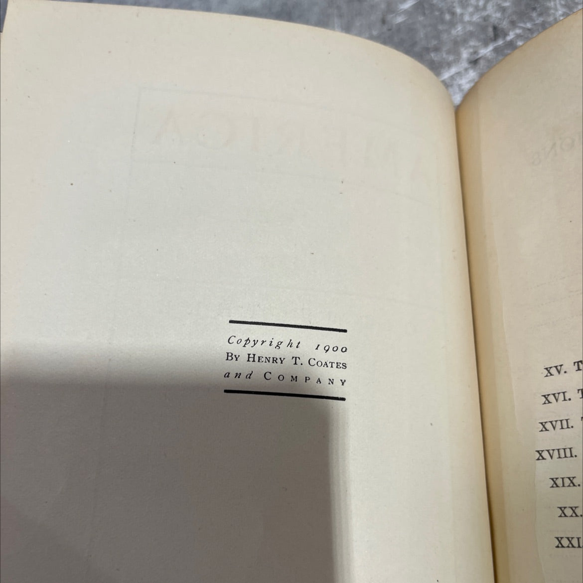 rural scene in florida america : picturesque & descriptive book, by joel cook, 1900 Hardcover image 3