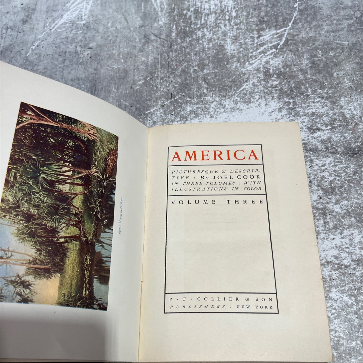 rural scene in florida america : picturesque & descriptive book, by joel cook, 1900 Hardcover image 2