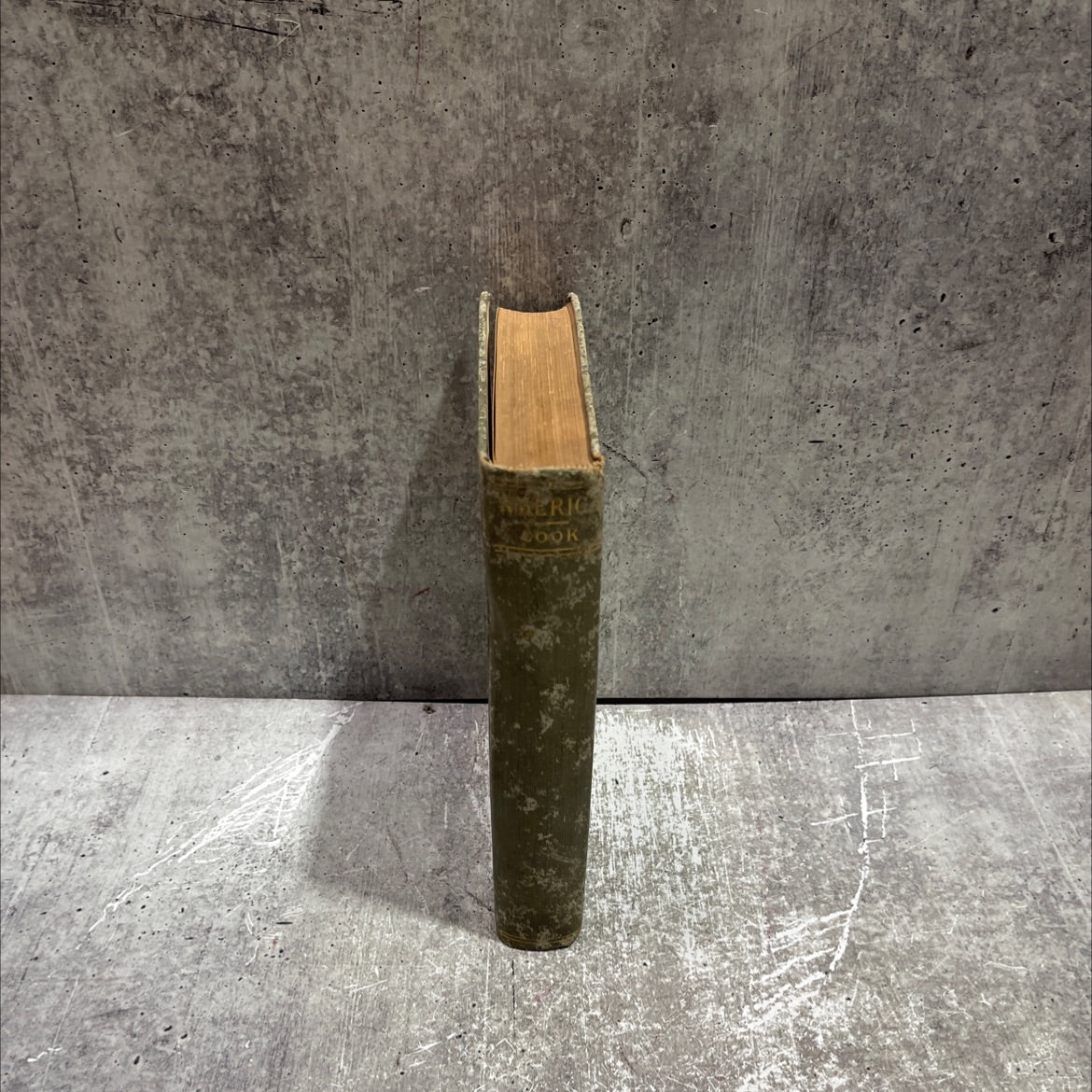 rural scene in florida america : picturesque & descriptive book, by joel cook, 1900 Hardcover image 4