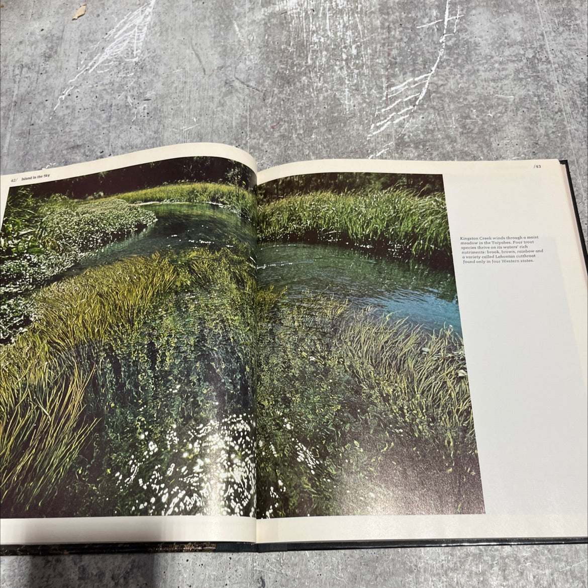 sagebrush country the american wilderness book, by donald dale jackson, 1975 Hardcover image 4