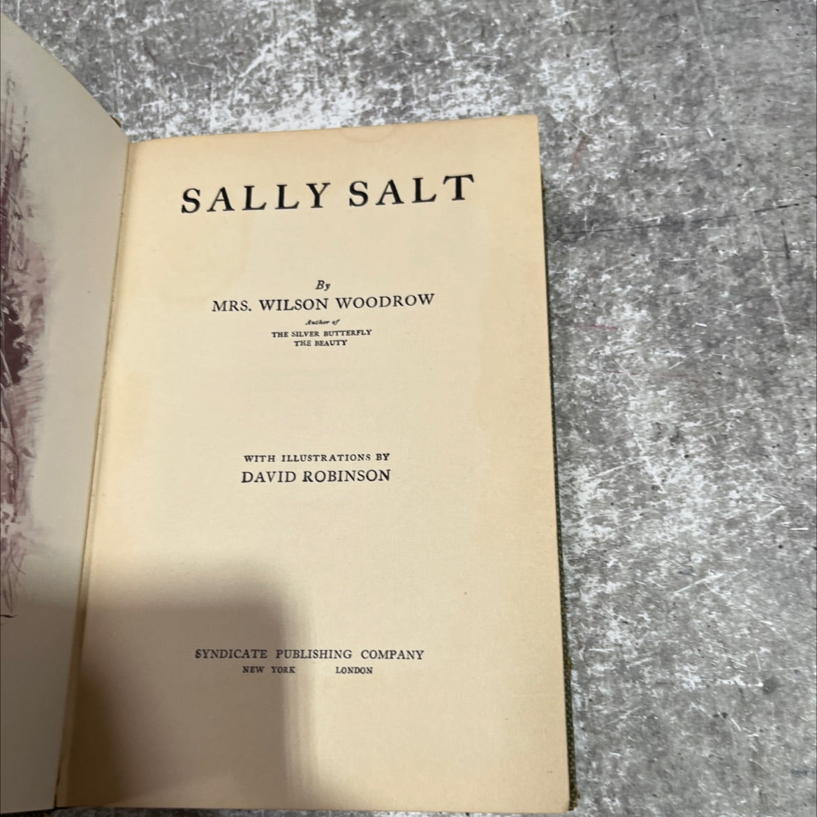 sally salt book, by mrs. wilson woodrow, 1912 Hardcover image 2