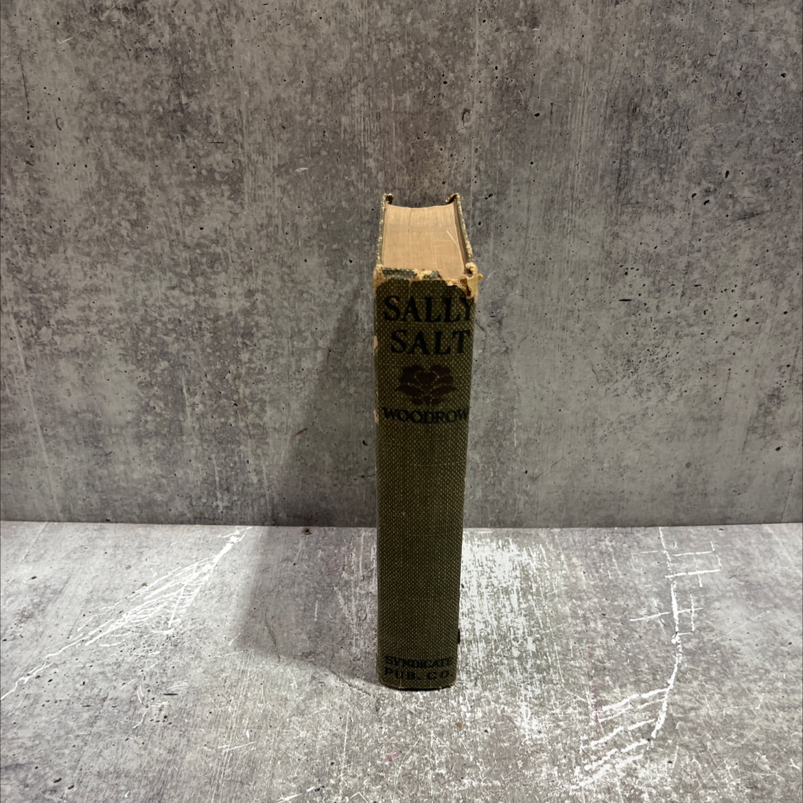 sally salt book, by mrs. wilson woodrow, 1912 Hardcover image 4