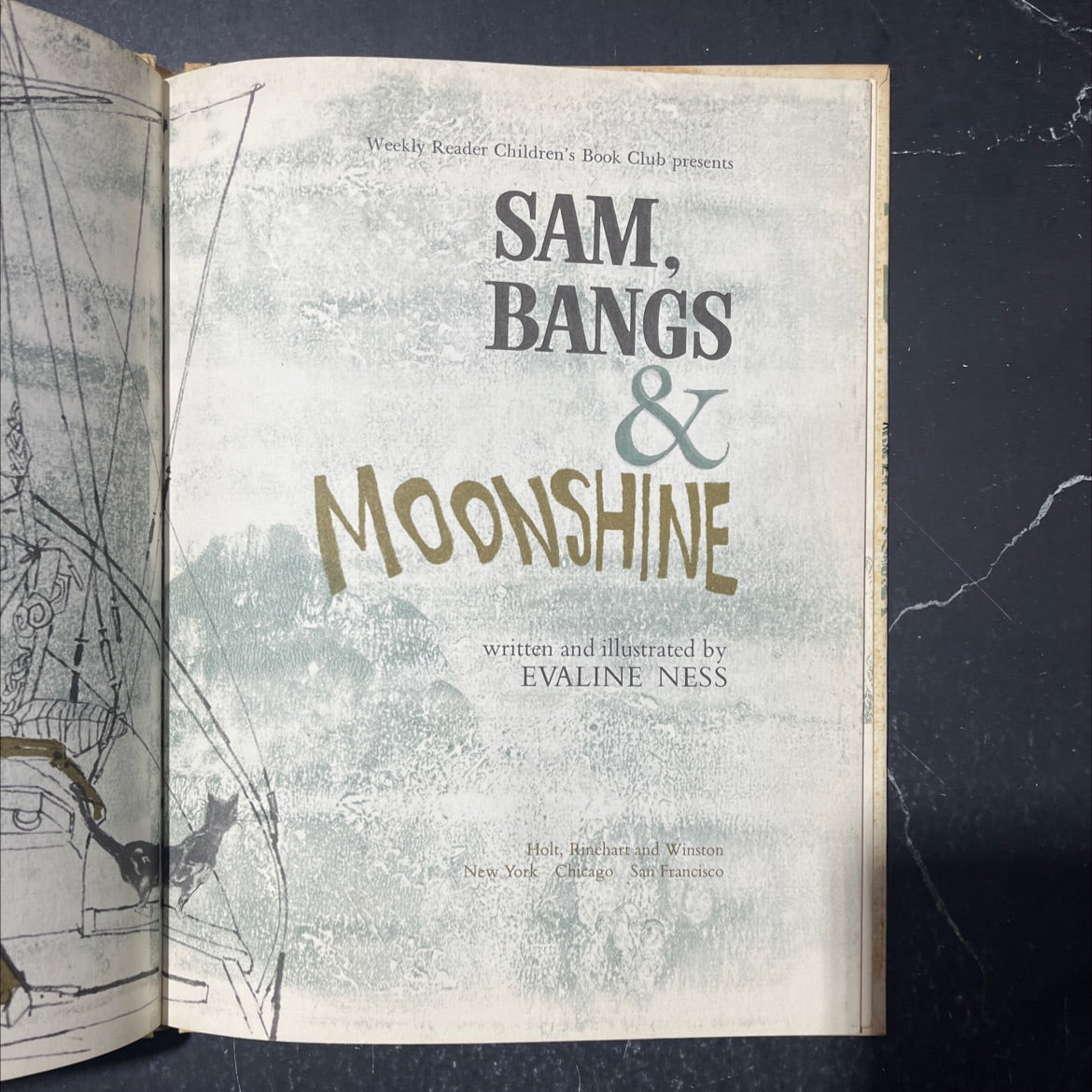 sam. bangs & moonshine book, by evaline ness, 1966 Hardcover image 2