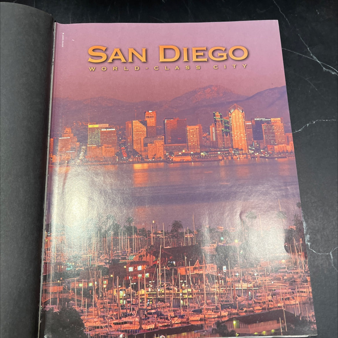 san diego: world-class city book, by Tom Blair, 1998 Hardcover image 2