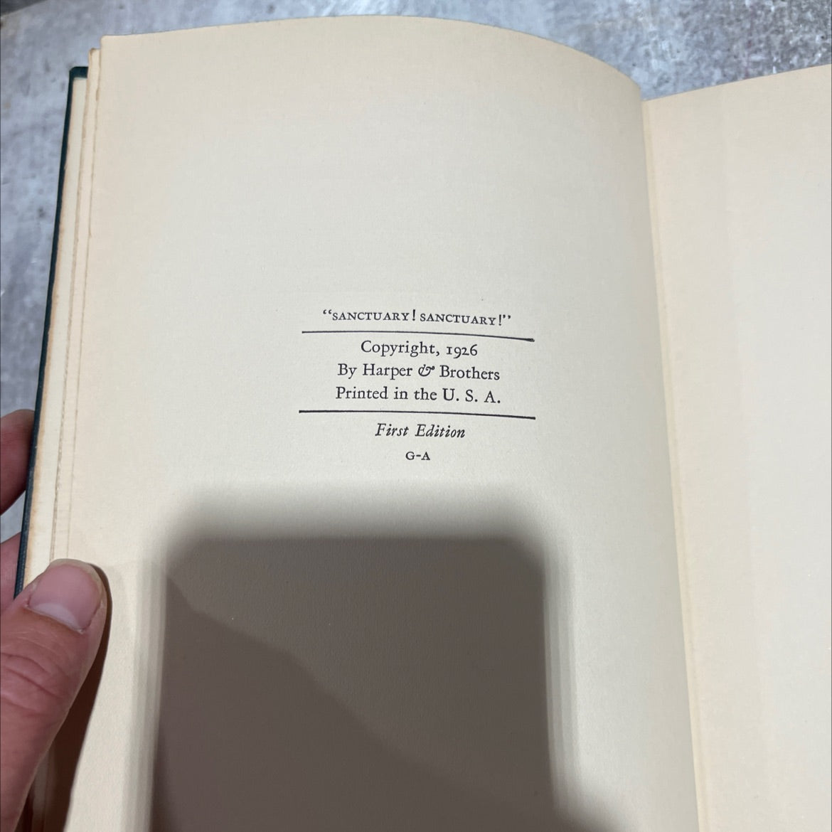 sanctuary! sanctuary! book, by dallas lore sharp, 1926 Hardcover image 3