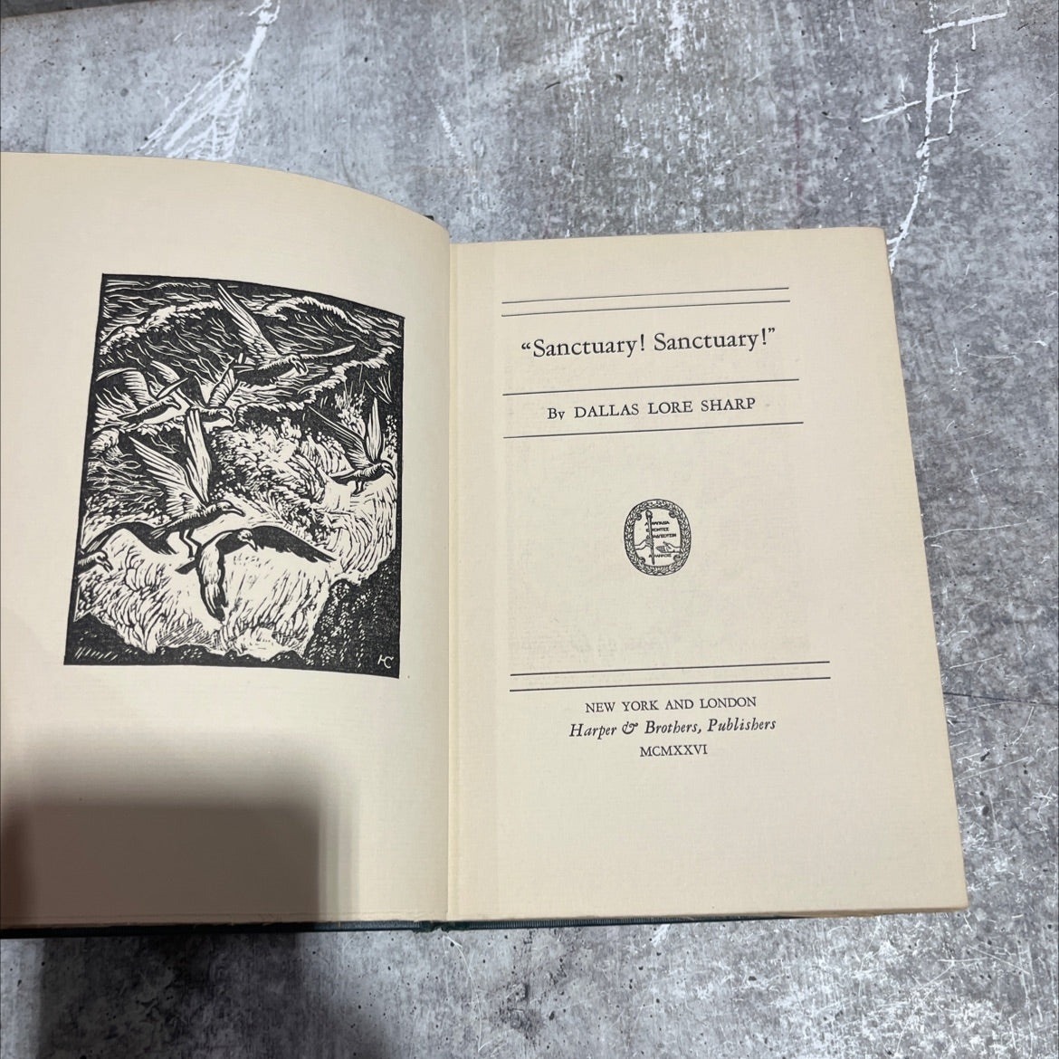 sanctuary! sanctuary! book, by dallas lore sharp, 1926 Hardcover image 2