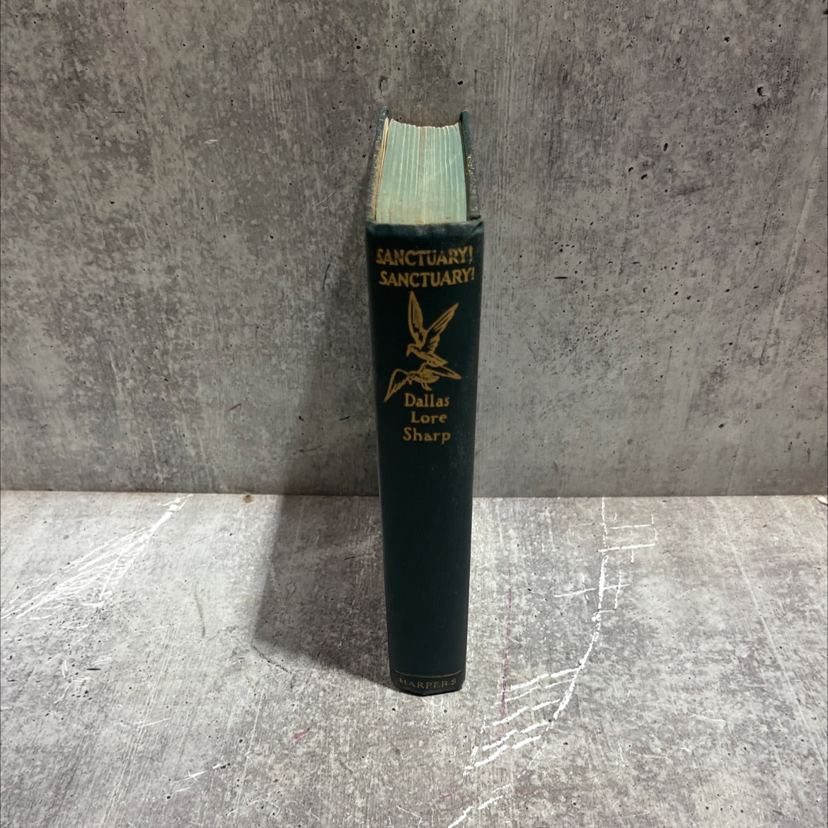 sanctuary! sanctuary! book, by dallas lore sharp, 1926 Hardcover image 4