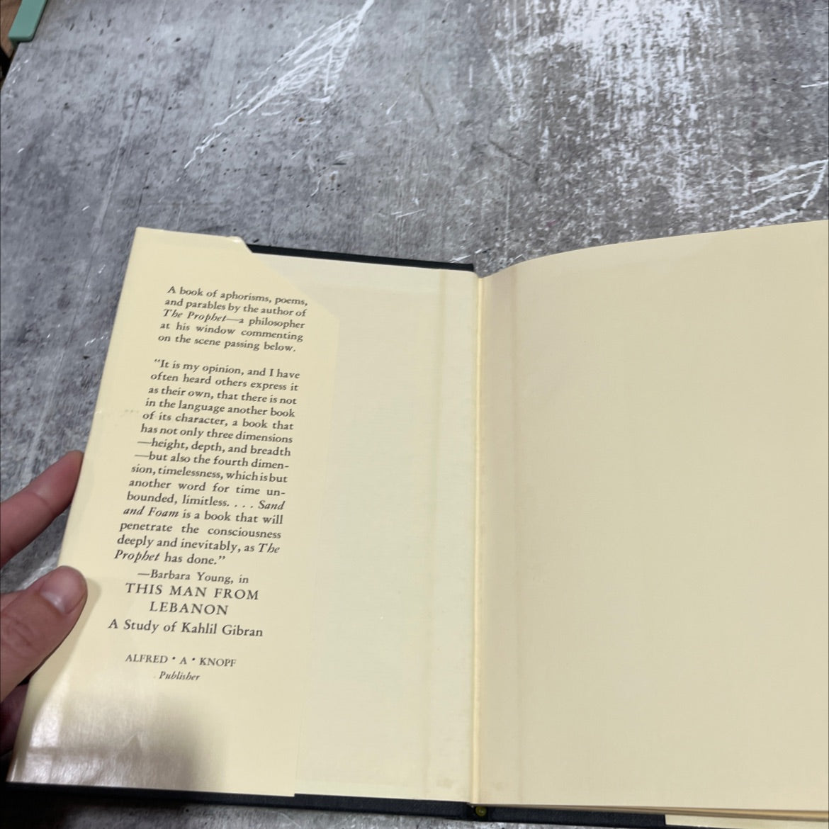 sand and foam a book of aphorisms book, by kahlil gibran, 1979 Hardcover image 4