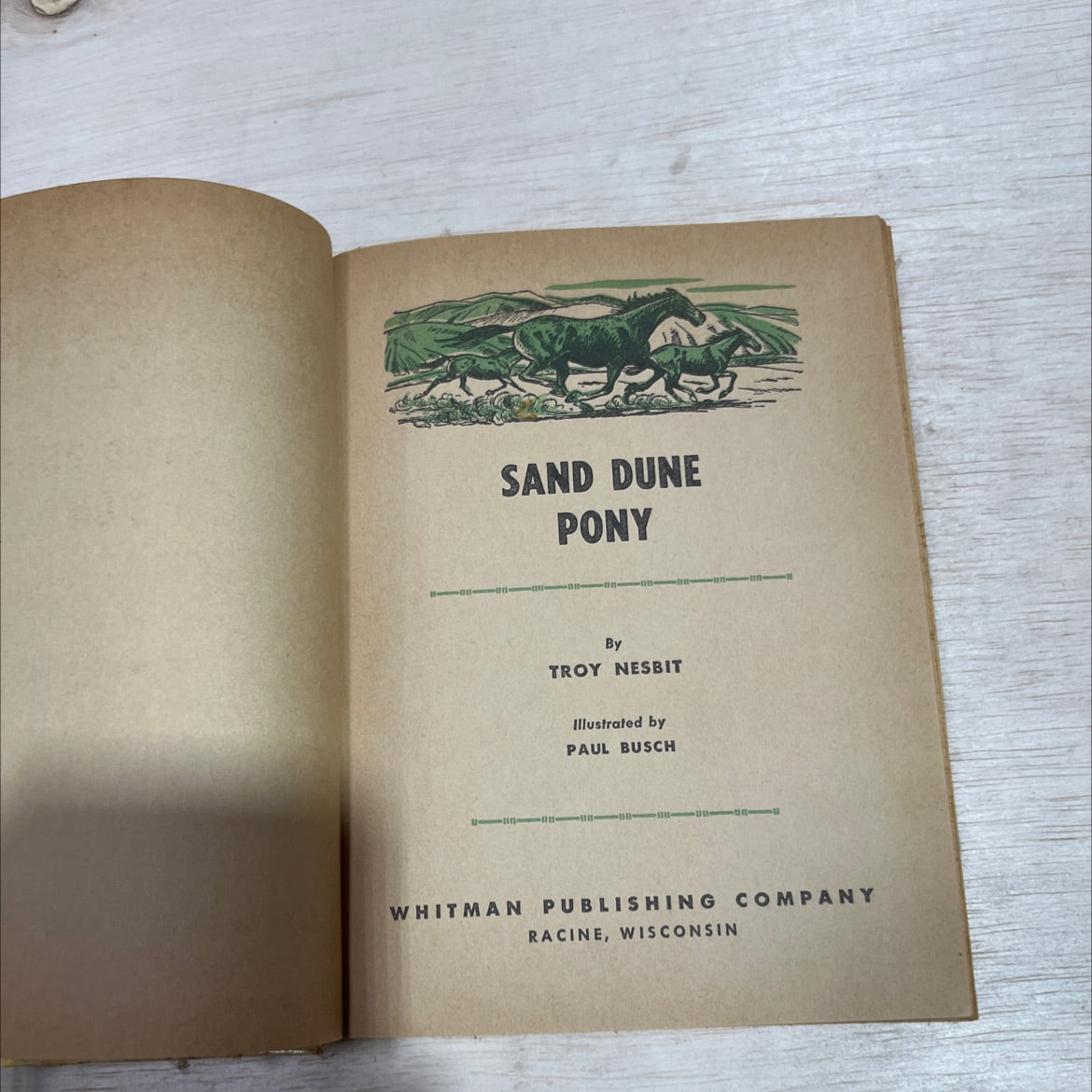 sand dune pony book, by troy nesbit, 1954 Hardcover image 2
