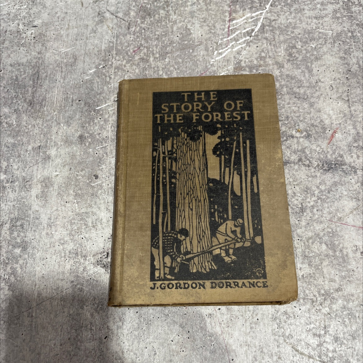 saphies the story of the forest book, by john gordon dorrance, 1916 Hardcover image 1