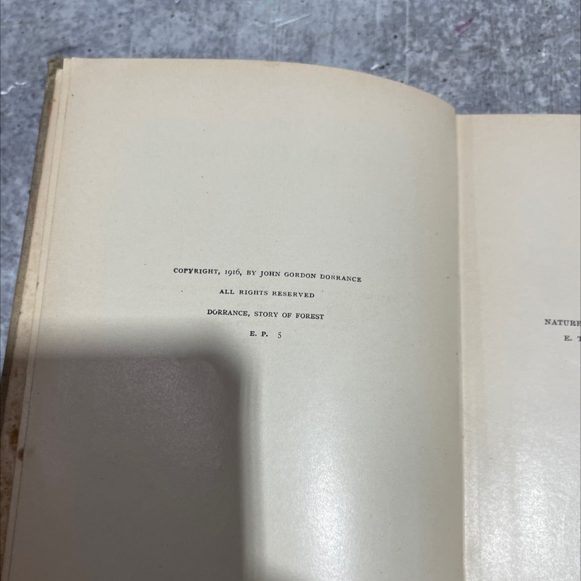 saphies the story of the forest book, by john gordon dorrance, 1916 Hardcover image 3