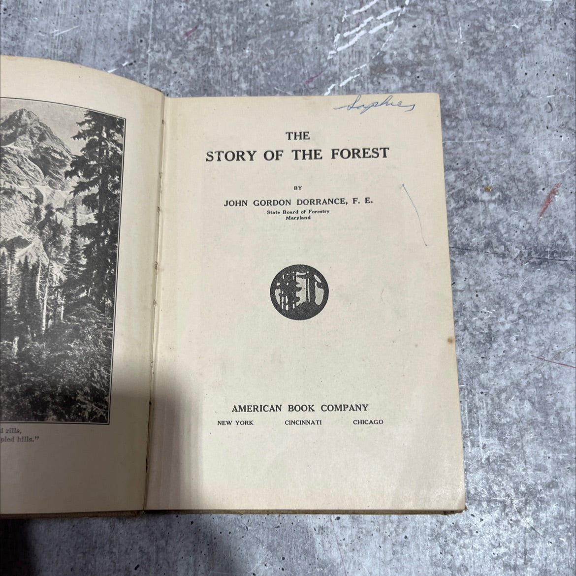 saphies the story of the forest book, by john gordon dorrance, 1916 Hardcover image 2