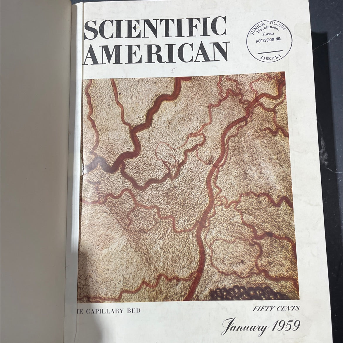 scientific american book, by unknown, 1959 Hardcover image 2