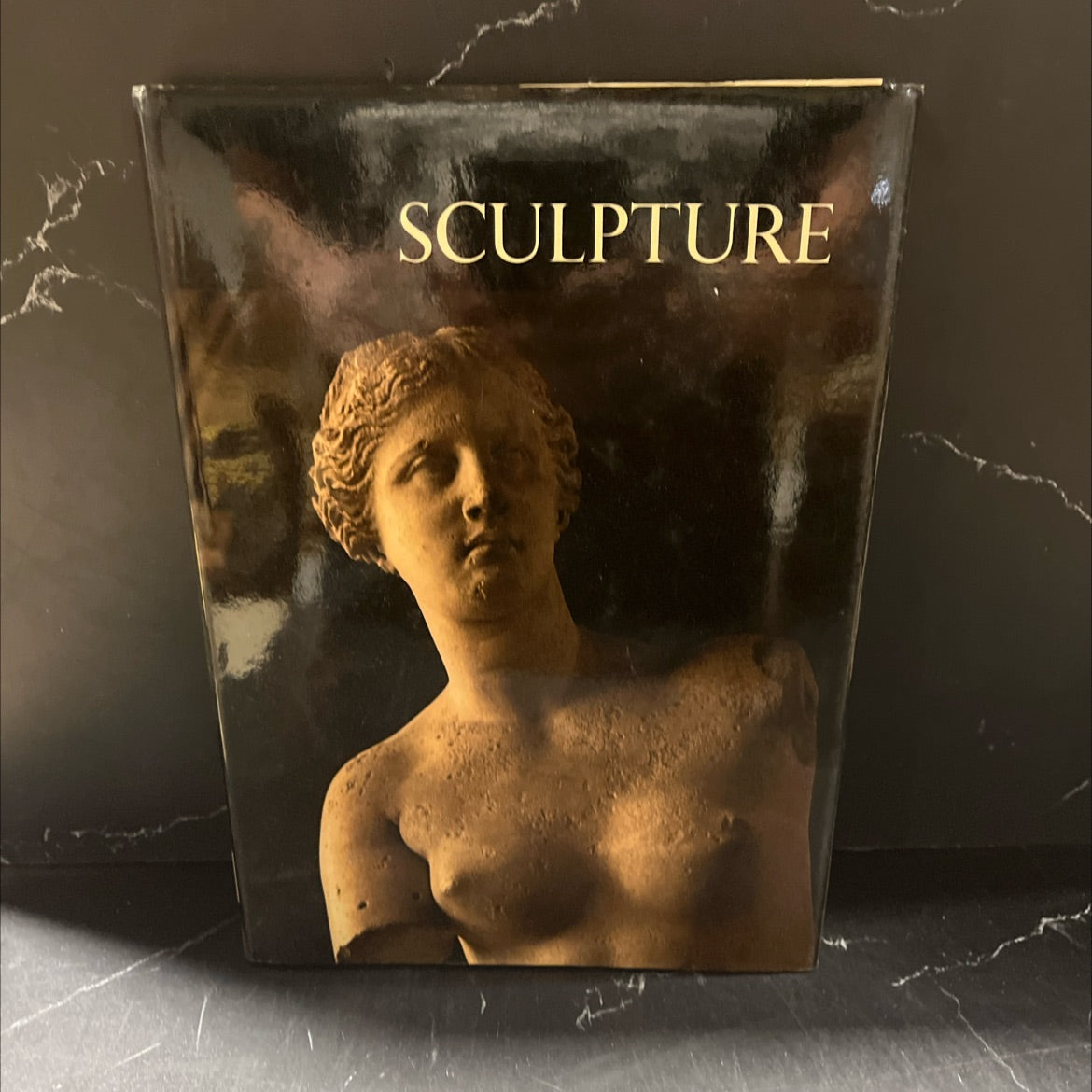 sculpture book, by editors of newsweek books, 1970 Hardcover image 1