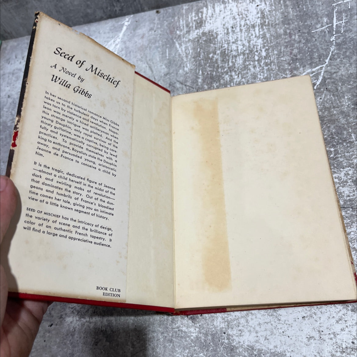 seed of mischief book, by Willa Gibbs, 1953 Hardcover image 4
