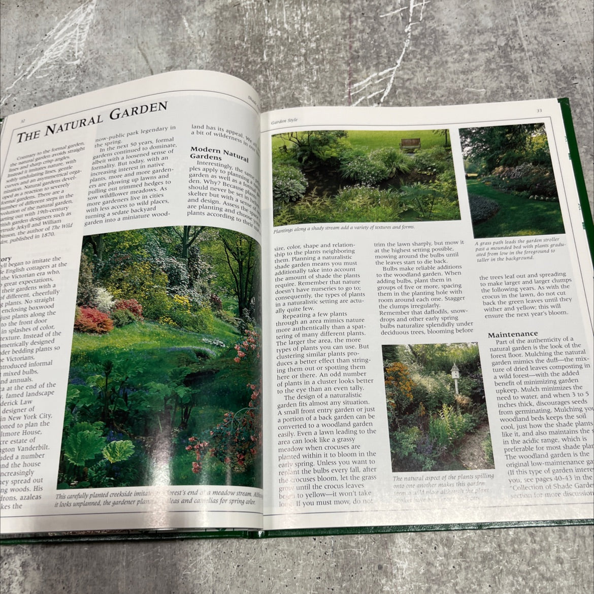 shade gardens book, by Mimi Luebbermann, 1998 Hardcover image 4