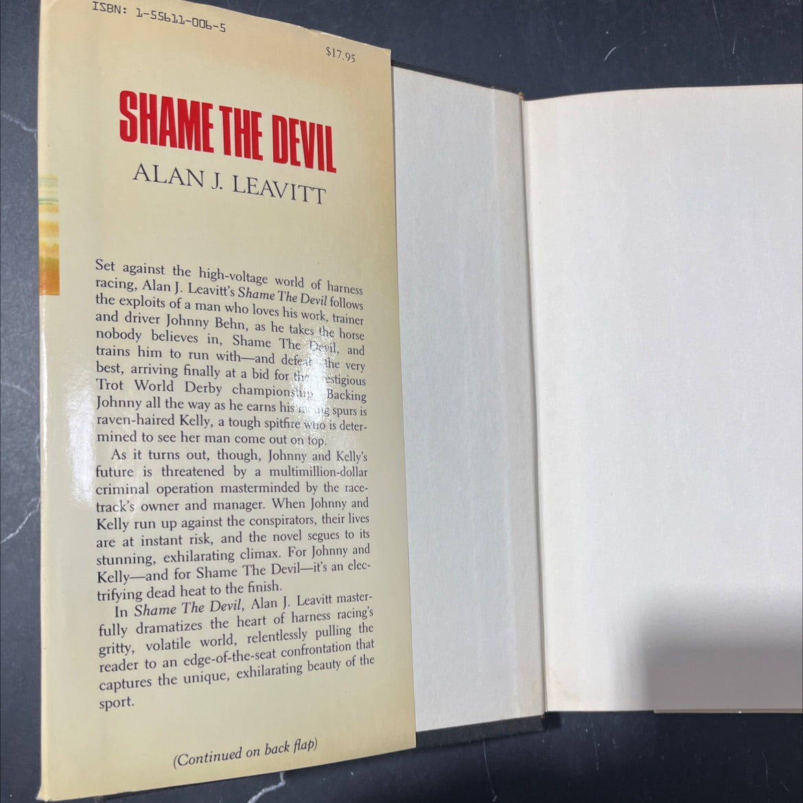 shame the devil a novel book, by alan j. leavitt, 1987 Hardcover image 4