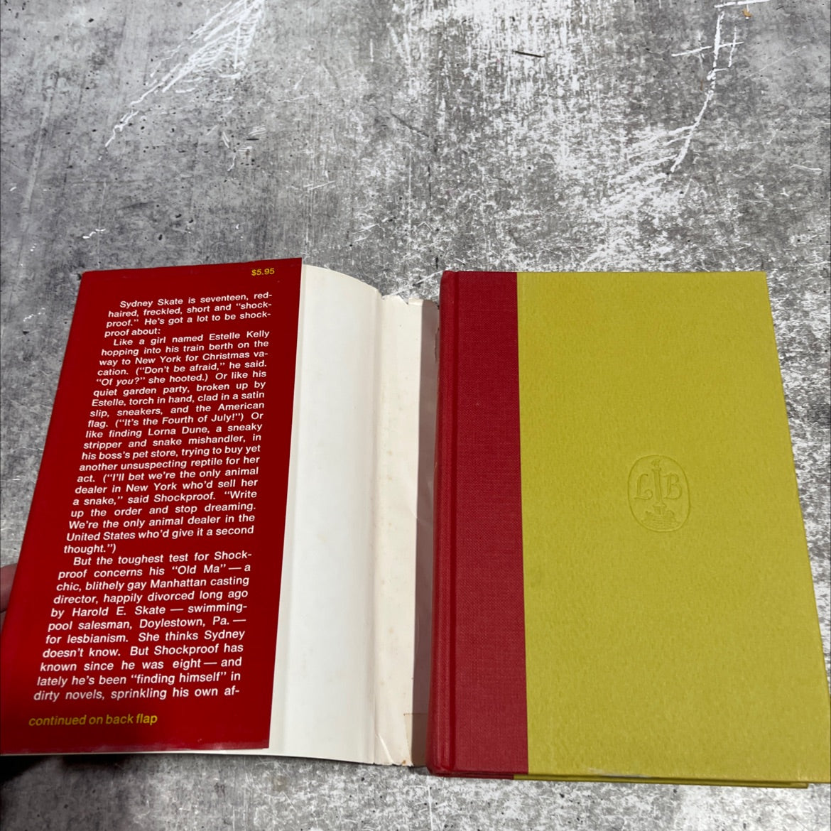 shockproof sydney skate book, by marijane meaker, 1972 Hardcover image 4