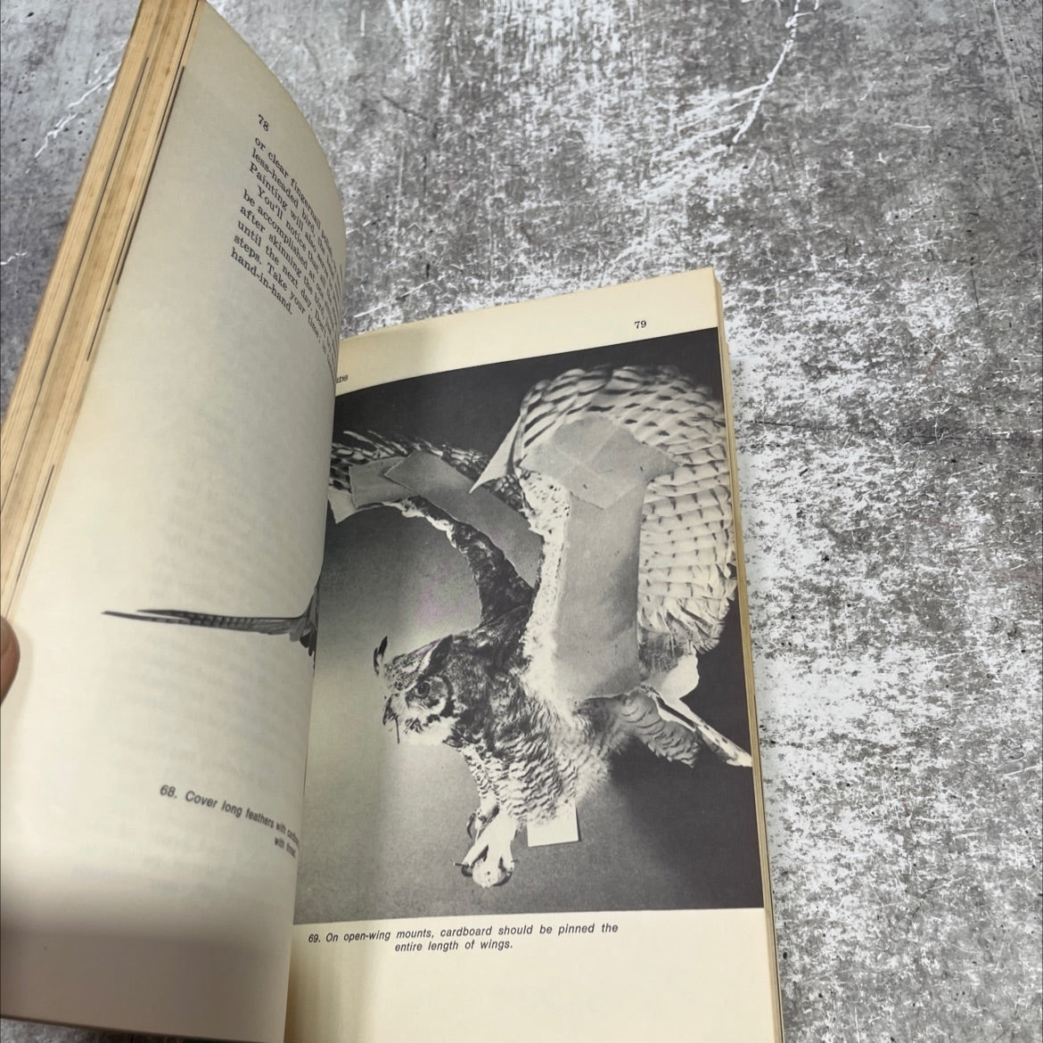 shooter's bible taxidermy guide book, by Russell Tinsley, 1967 Paperback image 4