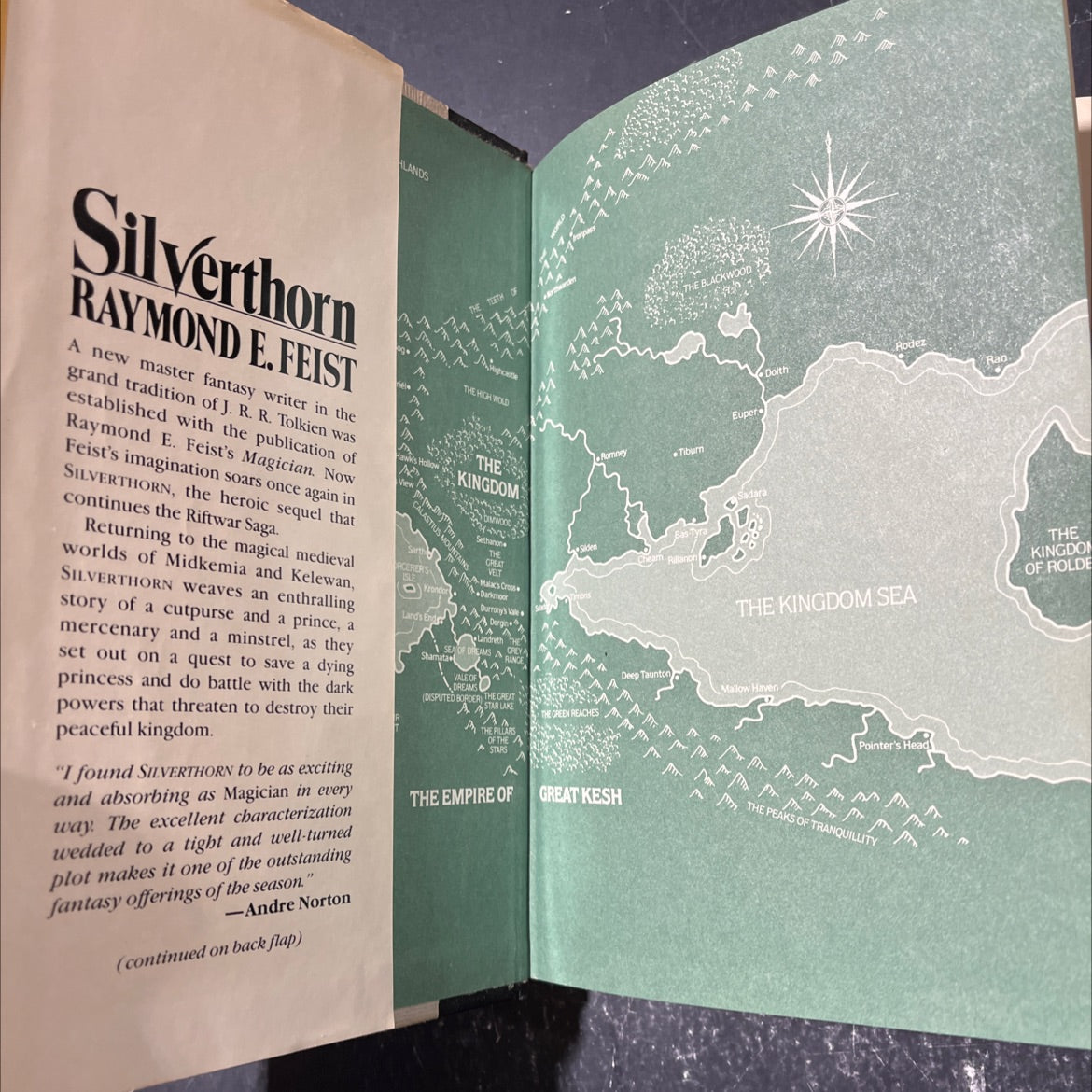 silverthorn book, by raymond e. feist, 1985 Hardcover image 4