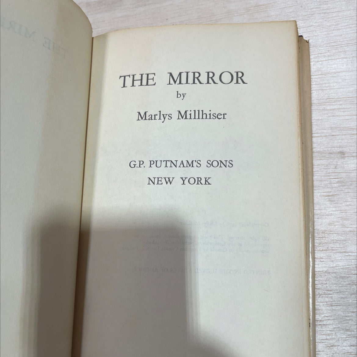 sim et the mirror book, by Marlys Millhiser, 2002 Hardcover image 2