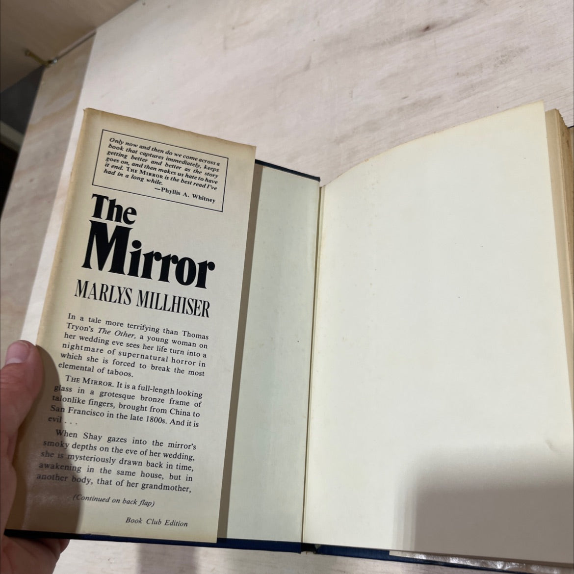 sim et the mirror book, by Marlys Millhiser, 2002 Hardcover image 4