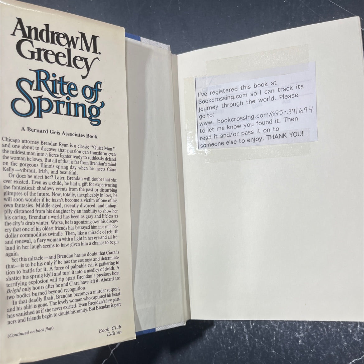 sins over the trilogy book, by andrew m. greeley, 2010 Hardcover image 4