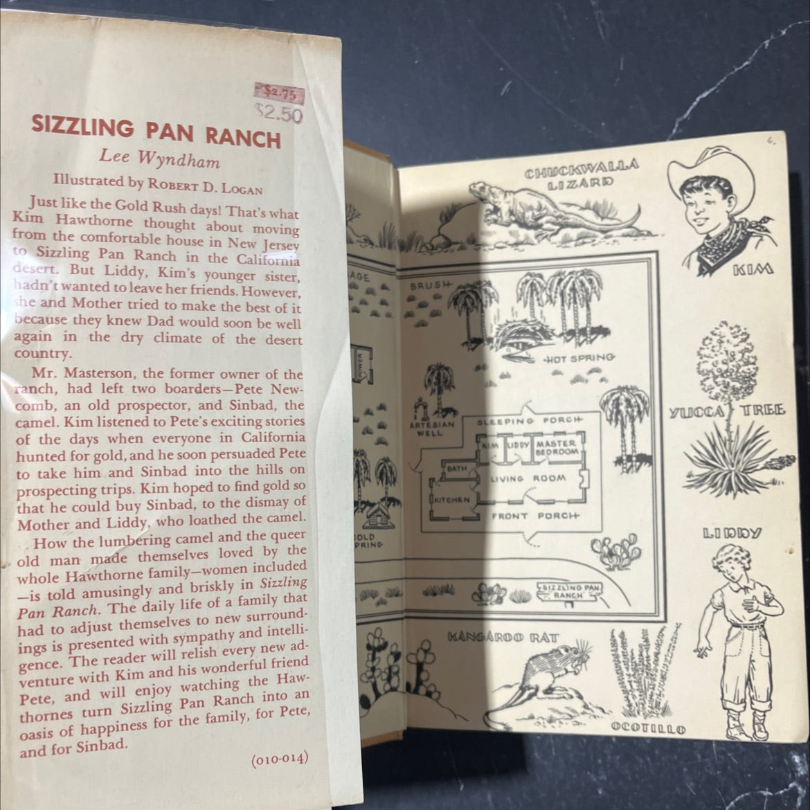 sizzling pan ranch book, by Lee Wyndham, 1951 Hardcover image 4