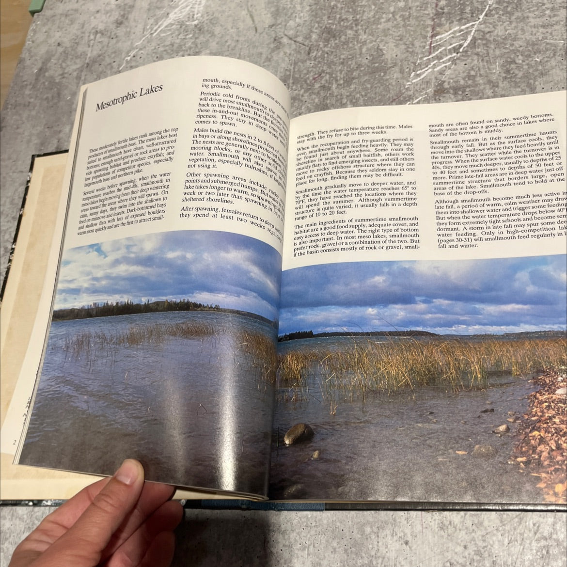 smallmouth bass book, by dick sternberg, 1986 Hardcover image 4