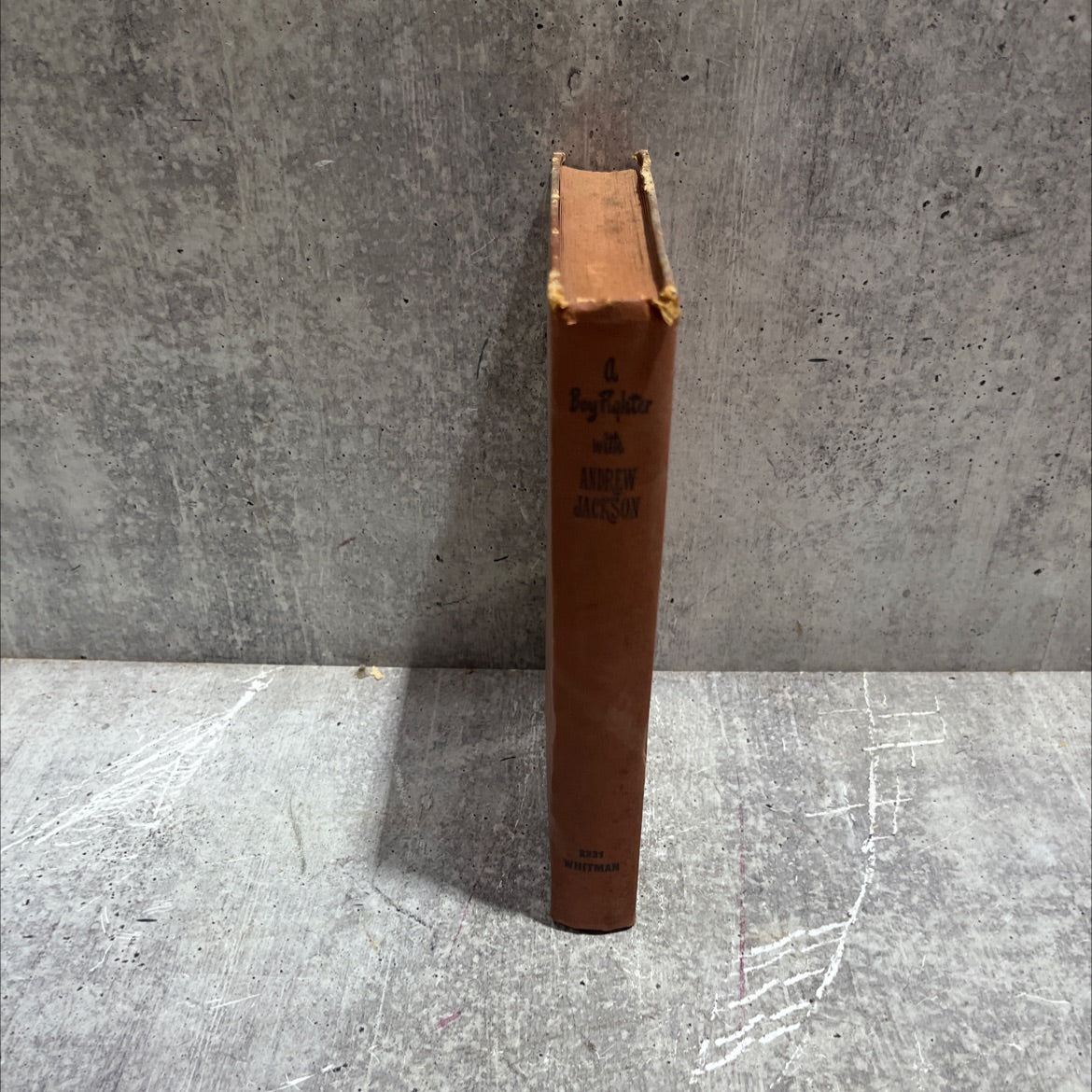 something almos a boy fighter with andrew jackson book, by H. C. Thomas, 1946 Hardcover image 4