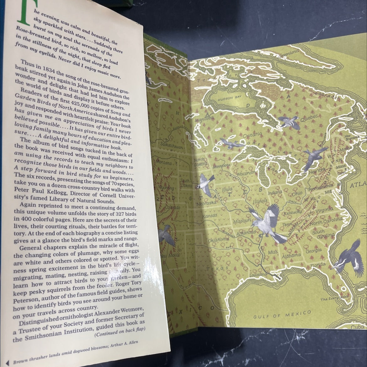 song and garden birds of north america book, by alexander wetmore, 1888 Hardcover, Folio image 4