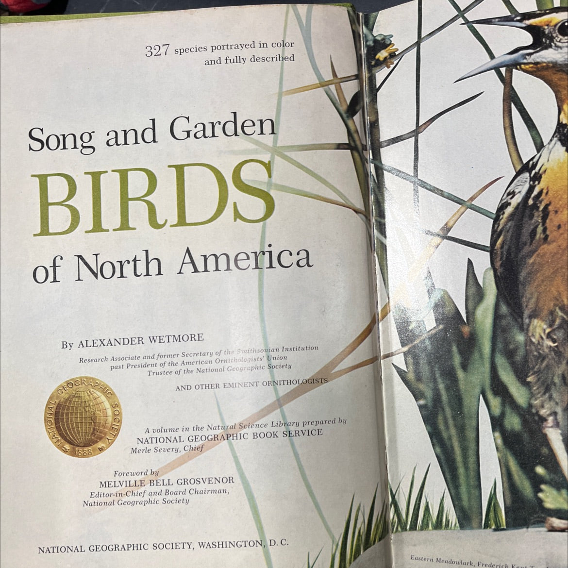 song and garden birds of north america book, by alexander wetmore, 1975 Hardcover image 2