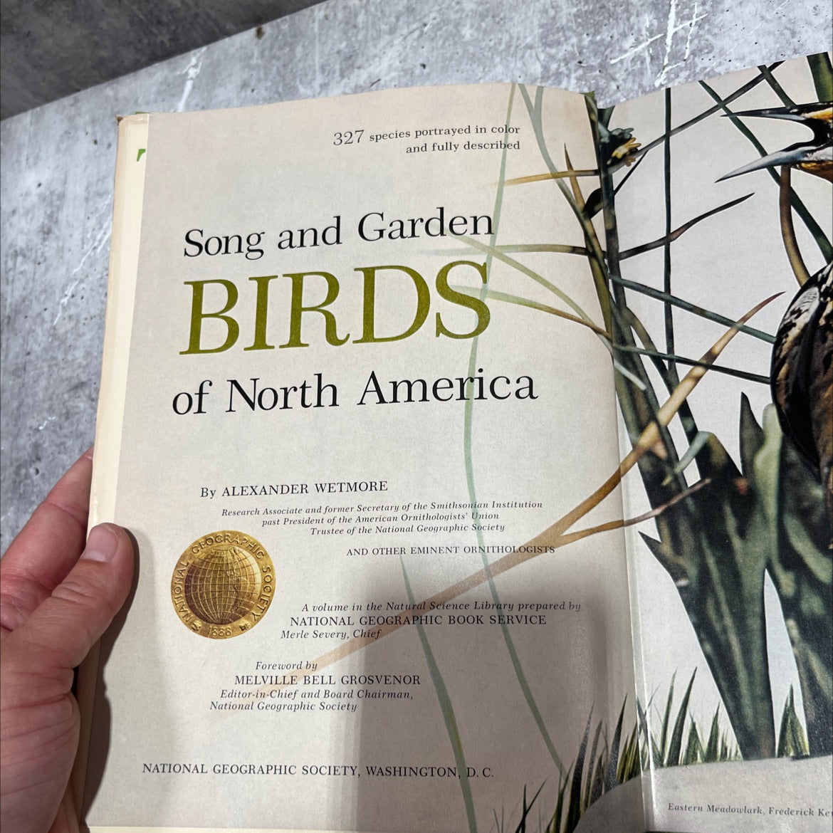 song and garden birds of north america book, by alexander wetmore, 1976 Hardcover image 2