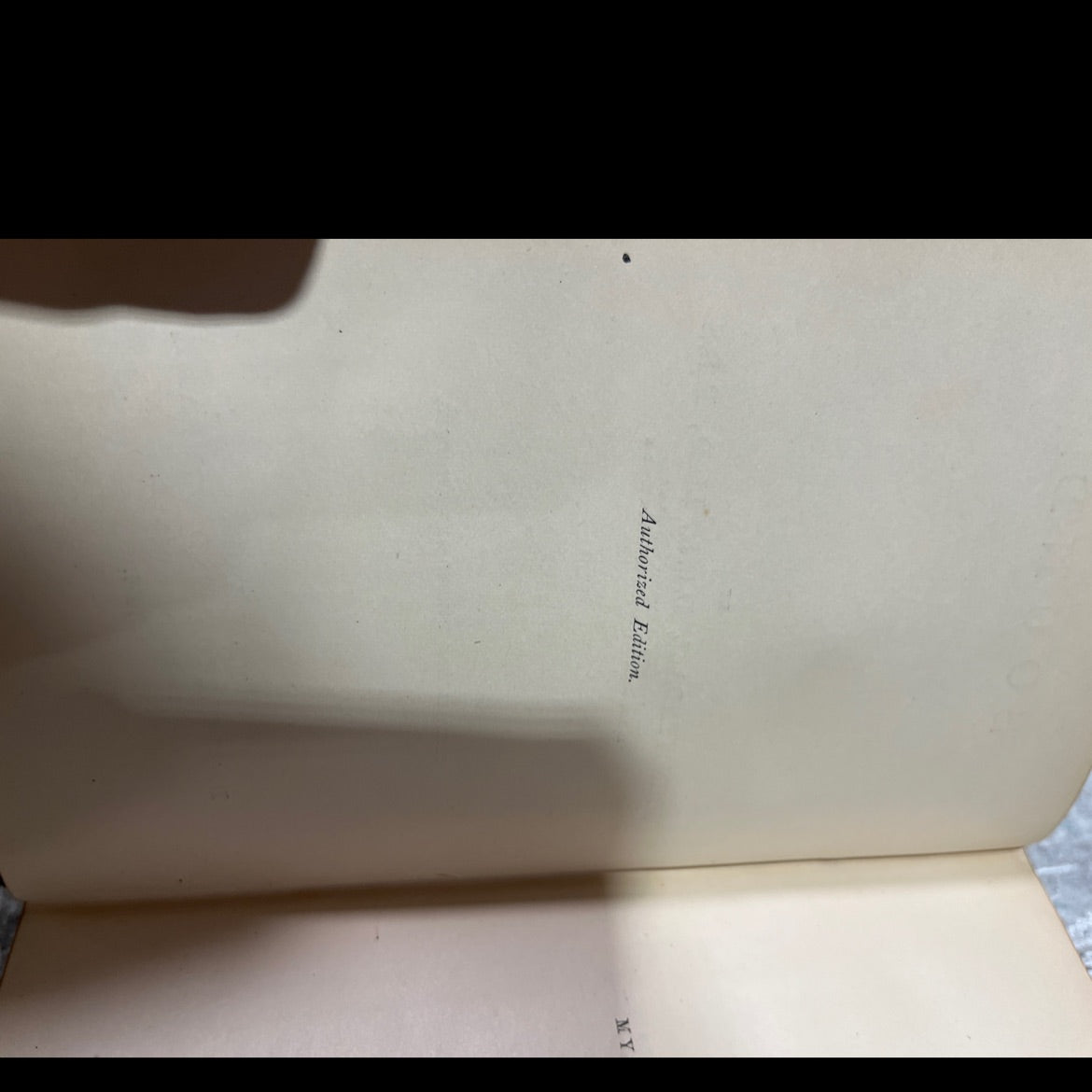 sound book, by john tyndall, 1896 Leather image 3
