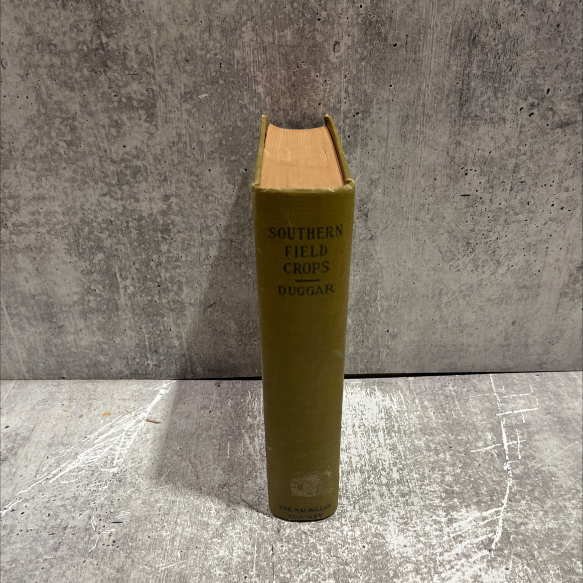 southern field crops (exclusive of forage plants) book, by john frederick duggar, 1911 Hardcover image 4