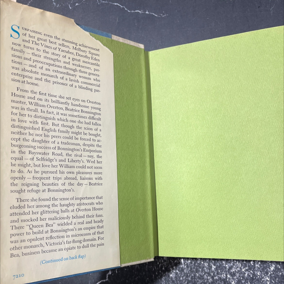 speak to me of love book, by dorothy eden, 1972 Hardcover image 4