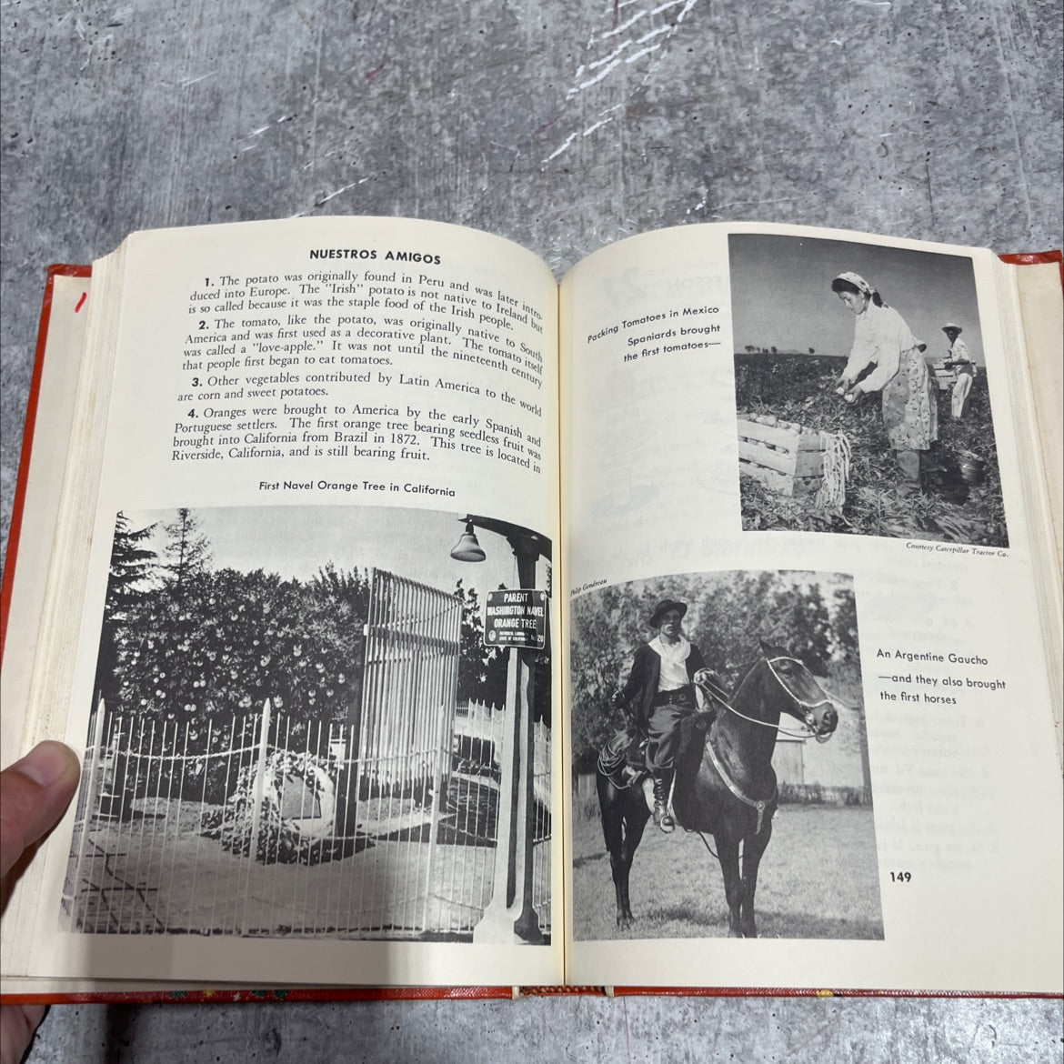 speaking spanish an introductory course book, by ruth r. ginsburg, robert j. nassi, 1962 Hardcover image 4