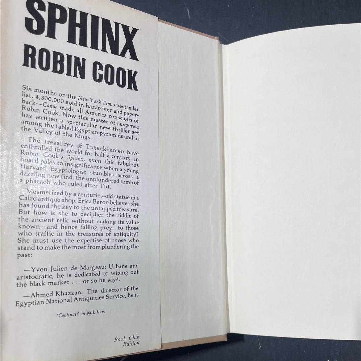 sphinx book, by Robin Cook, 1979 Hardcover image 4