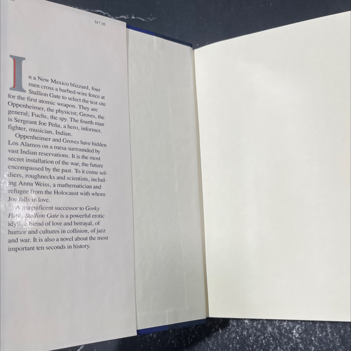 stallion gate book, by martin cruz smith, 1986 Hardcover image 4