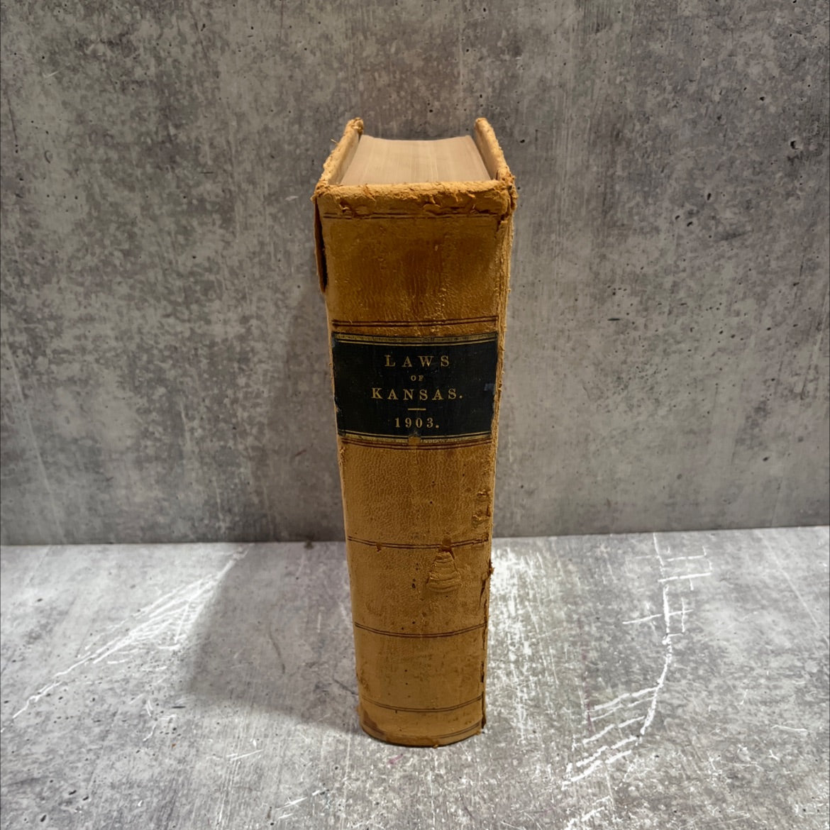 state of kansas. session laws, 1903, passed at the thirtieth regular session-the same being the thirteenth biennial image 3