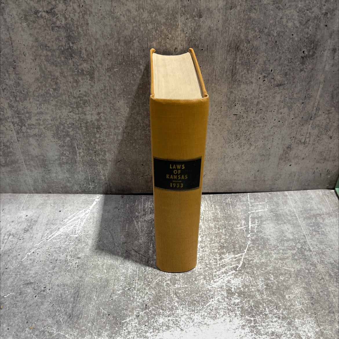 state of kansas session laws, 1953 passed at the fifty-fifth regular session-the same being the thirty-eighth biennial image 3