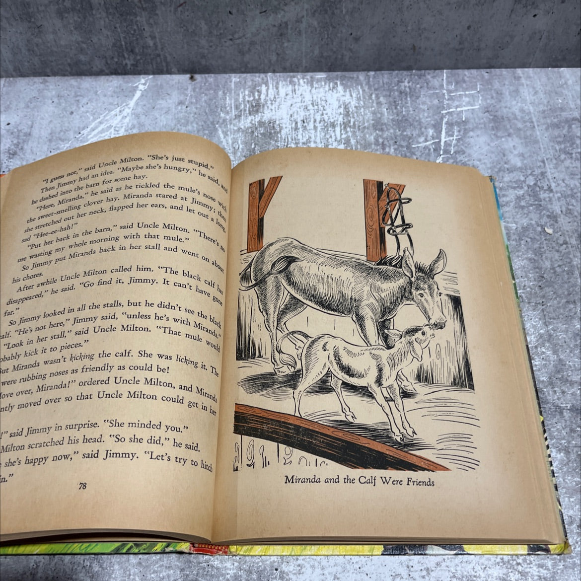 stories of animals book, by virginia cunningham, 1947 Hardcover image 4