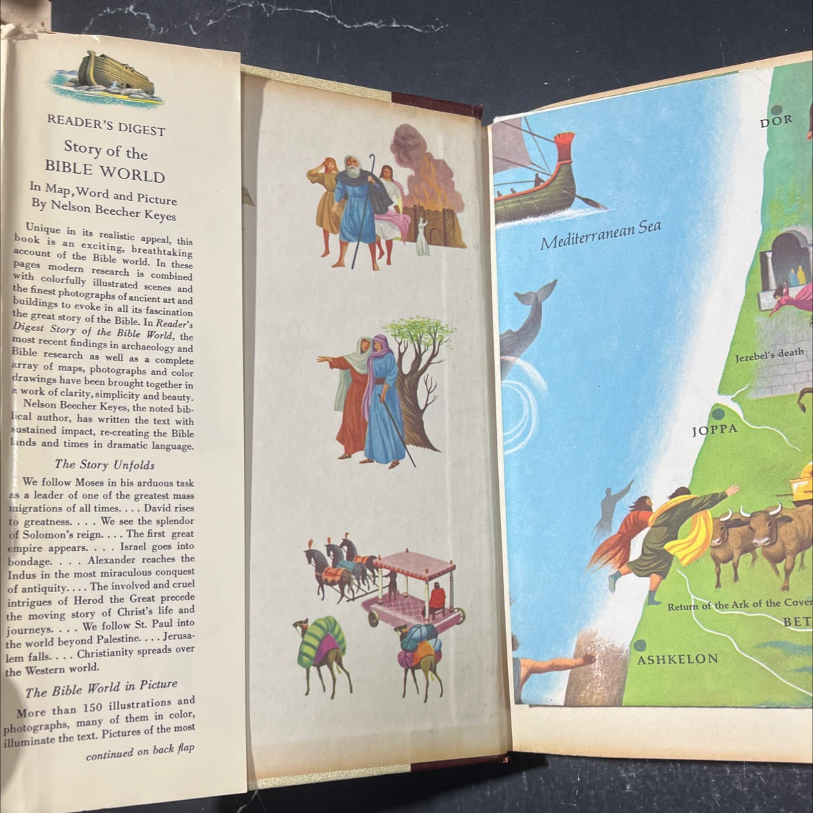 story of the bible world book, by Nelson Beecher Keyes, 1962 Hardcover image 4