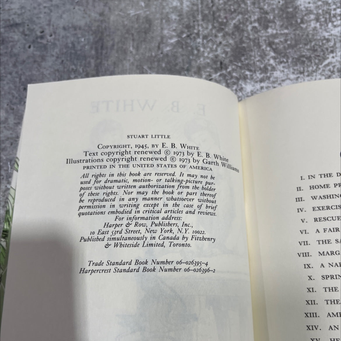 stuart little book, by e. b. white, 1973 Hardcover image 3